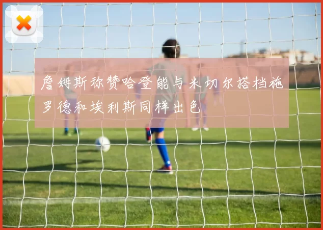 詹姆斯称赞哈登能与米切尔搭档施罗德和埃利斯同样出色