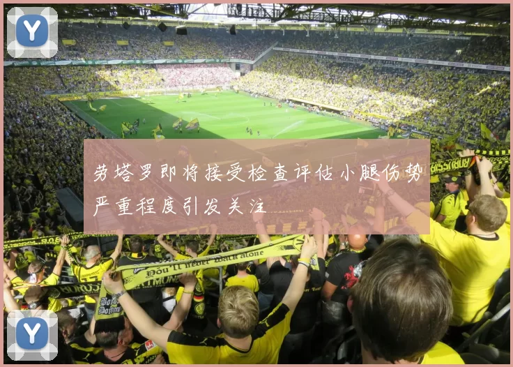 劳塔罗即将接受检查评估小腿伤势严重程度引发关注